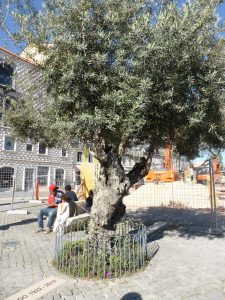 13244140_10153503778006496_1953937142178468818_o