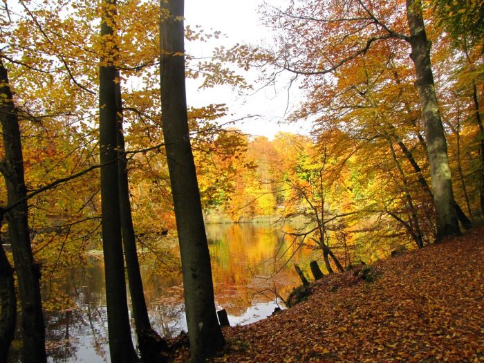 53851_389237964481471_562744579_o