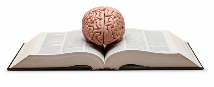 brain-book000015502537small