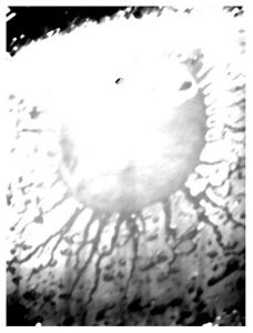 Видение в капле дождя 1