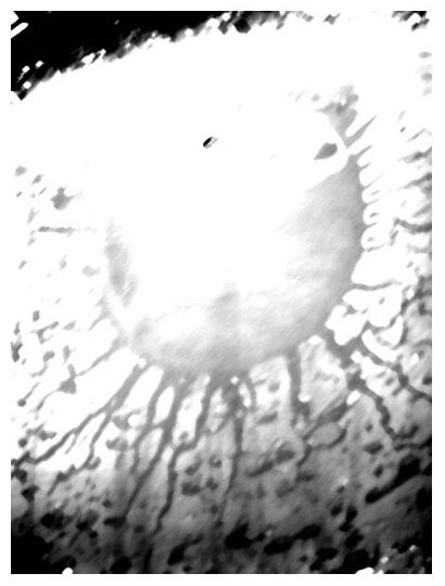 Видение в капле дождя 1