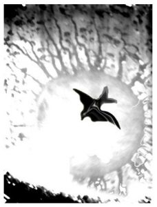 Видение в капле дождя 4