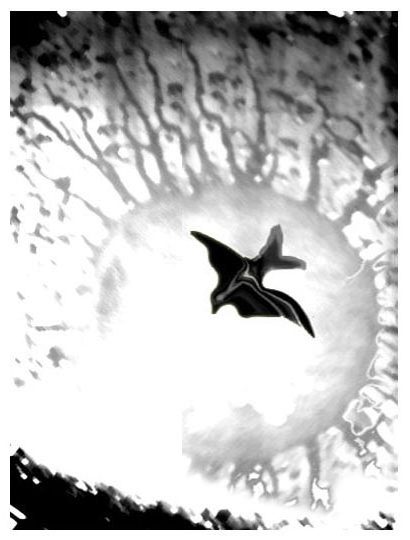 Видение в капле дождя 4