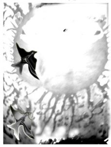 Видение в капле дождя 3