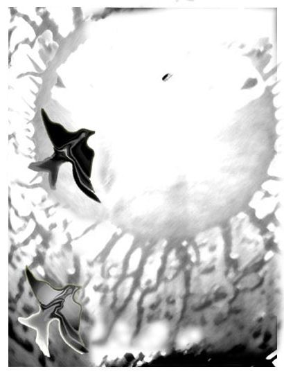 Видение в капле дождя 3