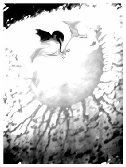 Видение в капле дождя 2