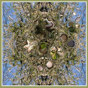 ВОЛШЕБСТВО